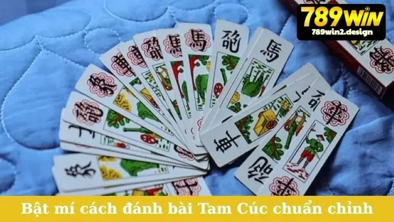 Cách Đánh Bài Tam Cúc Đỉnh Cao - Trở Thành Cao Thủ Ngay! Bật mí cách đánh bài Tam Cúc chuẩn chỉnh