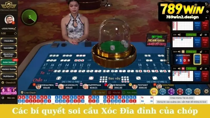 Soi Cầu Xóc Đĩa Hôm Nay - Dự Đoán Chính Xác, Ăn Đậm Các bí quyết soi cầu Xóc Đĩa đỉnh của chóp