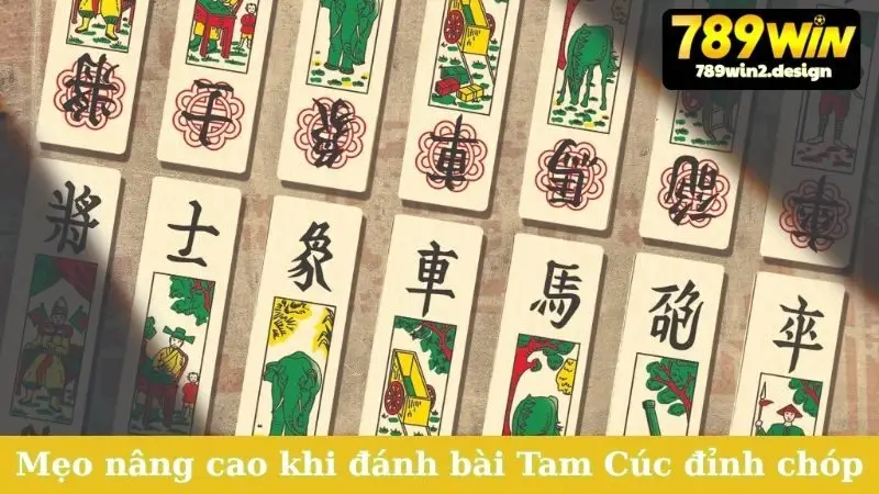 Cách Đánh Bài Tam Cúc Đỉnh Cao - Trở Thành Cao Thủ Ngay! Mẹo nâng cao khi đánh bài Tam Cúc đỉnh chóp