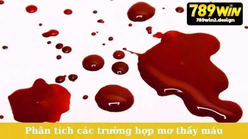 Nằm Mơ Thấy Máu - Điềm Báo Gì, Đánh Số Mấy Phát Tài? Phân tích các trường hợp mơ thấy máu